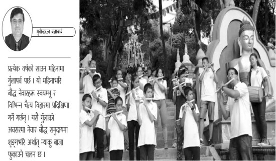 निजामती विधेयकका अन्तर्वस्तु